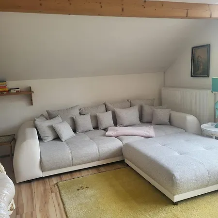 Grosszuegiges Studio-apartment Siegblick 70qm Mit Xxl Balkon * Mittelhof