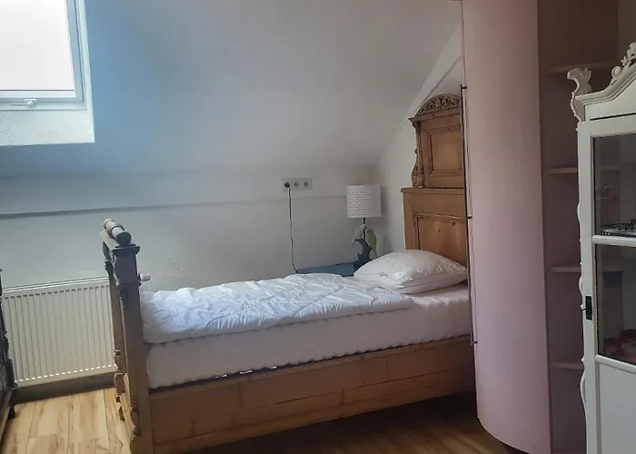 Grosszuegiges Studio-apartment Siegblick 70qm Mit Xxl Balkon