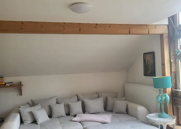 Grosszuegiges Studio-apartment Siegblick 70qm Mit Xxl Balkon Lejlighed Mittelhof