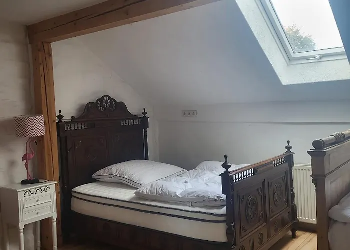 Grosszuegiges Studio-apartment Siegblick 70qm Mit Xxl Balkon Mittelhof