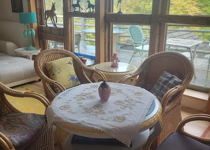 Grosszuegiges Studio-apartment Siegblick 70qm Mit Xxl Balkon Lejlighed *