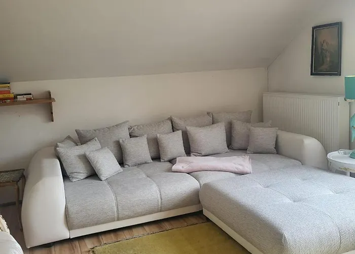 Grosszuegiges Studio-apartment Siegblick 70qm Mit Xxl Balkon * Mittelhof